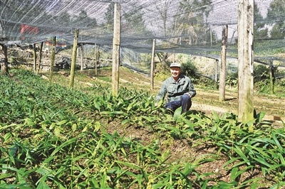 山間藥農(nóng)的“小算計(jì)”與“大情懷” 農(nóng)業(yè)土地整理服務(wù)的智慧實(shí)踐