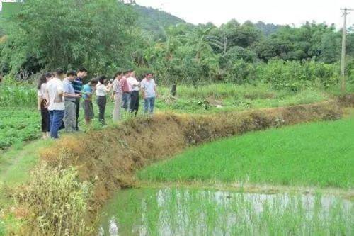 土地新政 撂荒兩年土地經營權或終止，農業整理服務迎來新機遇