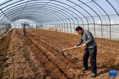 濟南春耕春管生產忙 農業土地整理服務助增產