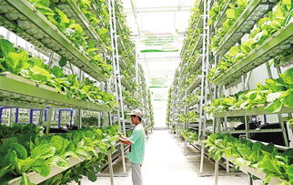 農業未來新方向 立體農場與土地說再見——農業土地整理服務的新篇章